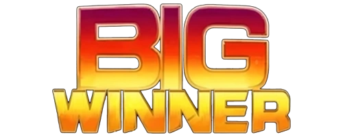 Bigwinner Muhyi Food